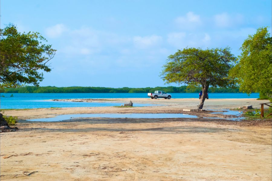 A Guide to Bonaire’s National Parks and Natural Reserves