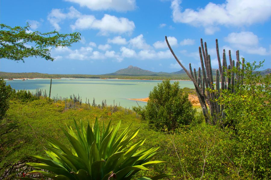 The Best Hiking Trails in Bonaire for Outdoor Enthusiasts