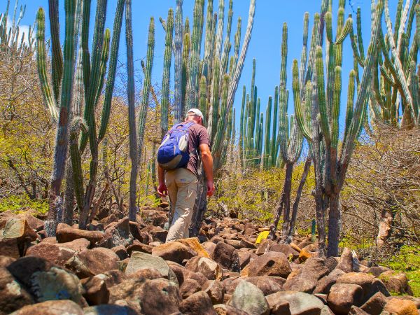 The Best Hiking Trails in Bonaire for Outdoor Enthusiasts